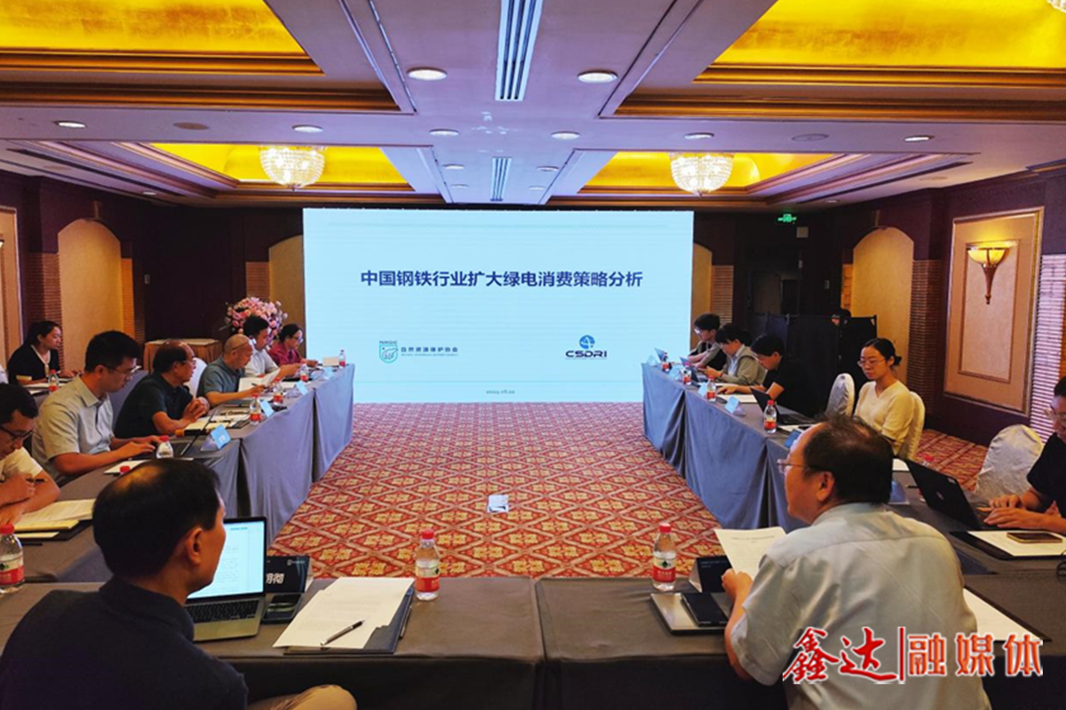 如何更好利用绿电这一减碳利器？——“中国钢铁行业扩大绿电消费策略分析”研讨会侧记